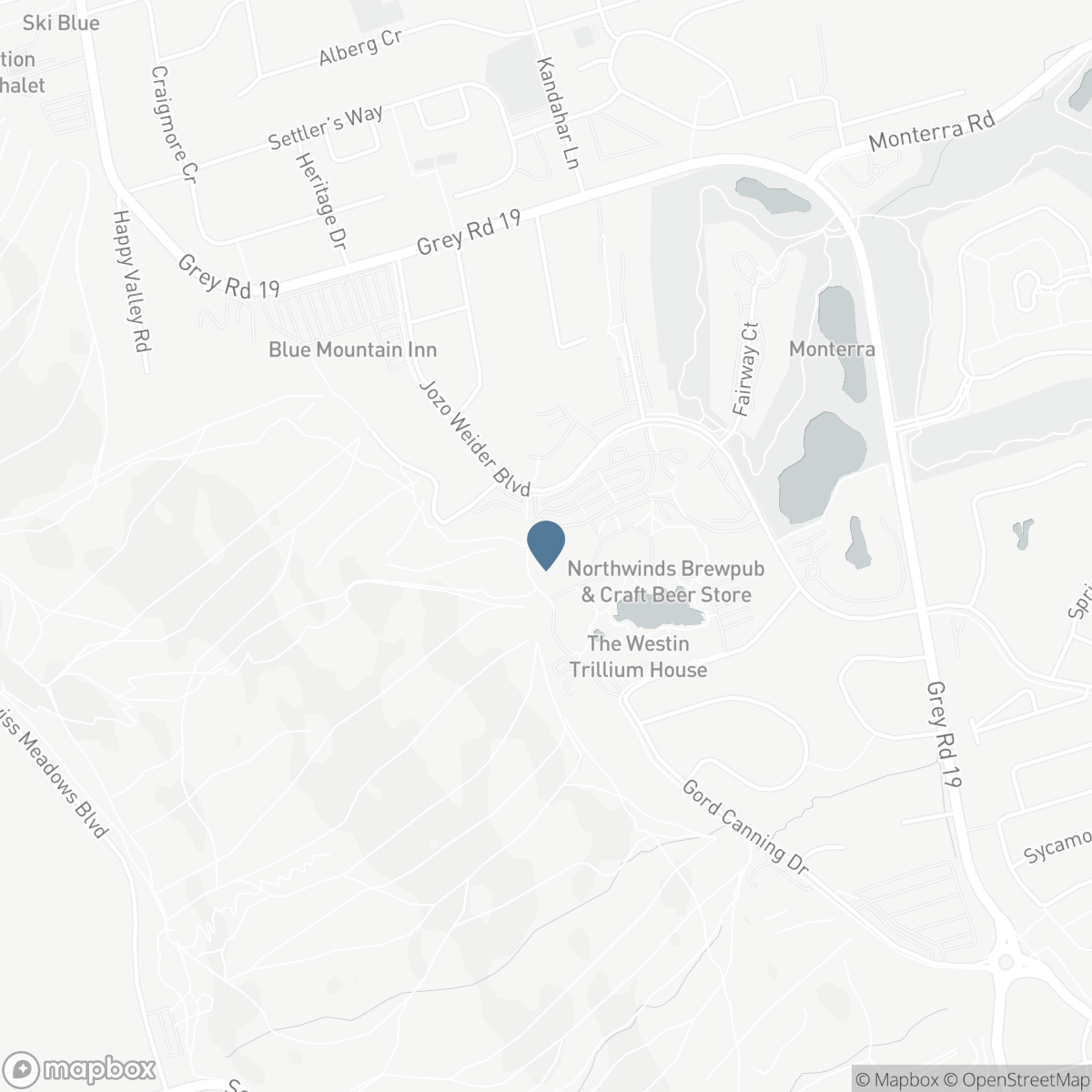 231 - 156 JOZO WEIDER BOULEVARD, The Blue Mountains, Ontario L9Y 0V2